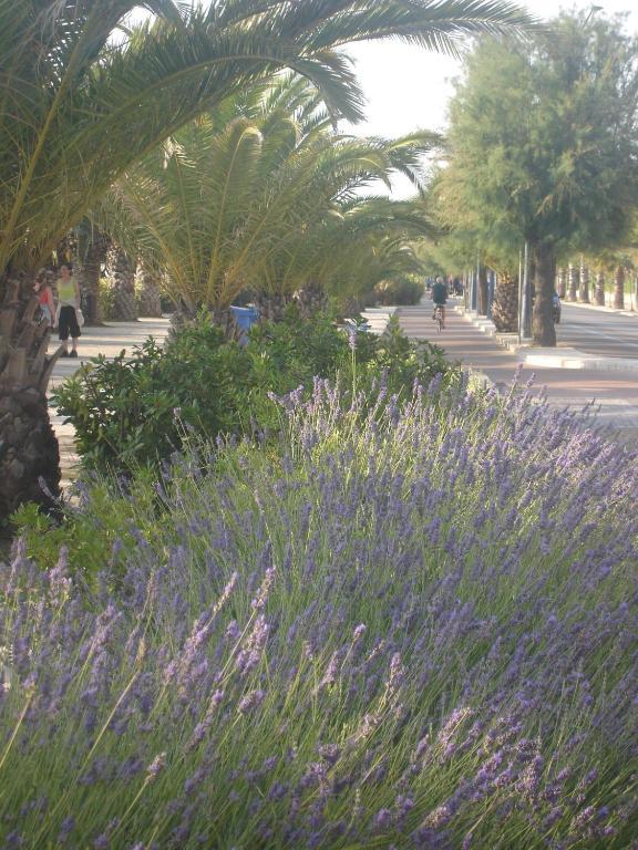 Petit Hotel San Benedetto del Tronto Esterno foto