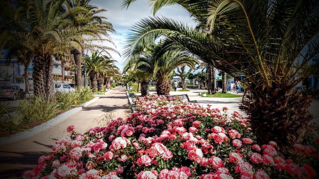 Petit Hotel San Benedetto del Tronto Esterno foto